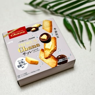 Lotte Koala's March Chocolate Cookies 48g Japan Exclusive – Made