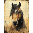 thumbnail image 1 of Qisvanset 12x16 Inch Vintage Ranch Horse Canvas Wall Art, Distressed Equine Art Rustic Farmhouse Decor, 1 of 8