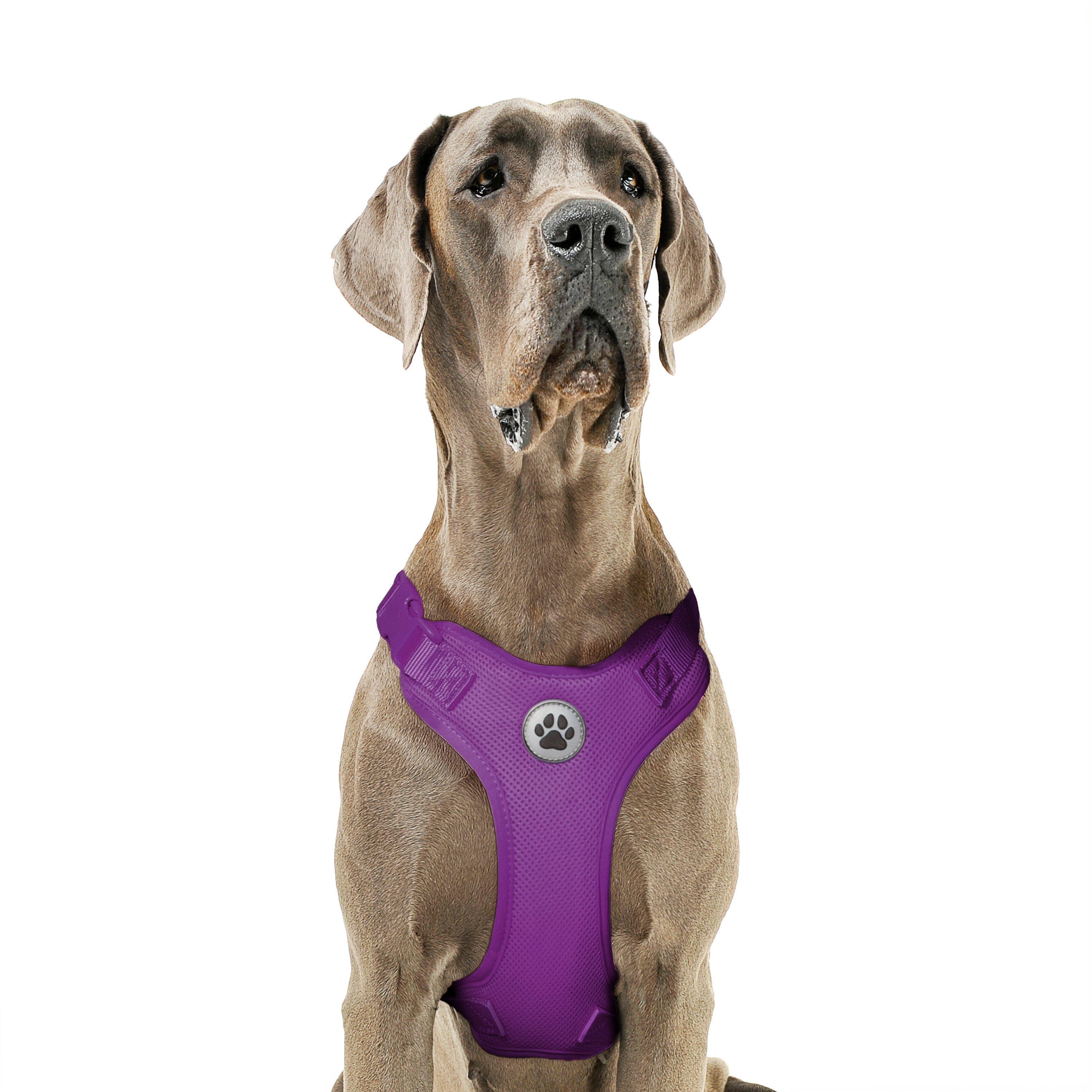 Vibrant Life Polyester Mesh Adjustable and Reflective Dog Walking Harness, Purple, XL