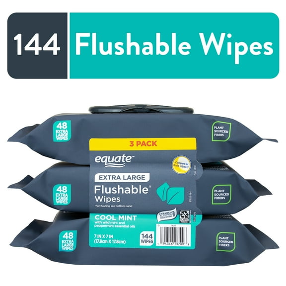 Equate Extra Large Flushable Wet Wipes, Cool Mint Scent, 144 Wipes (3 Pack), Compare to Dude Wipes®