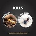 thumbnail image 4 of Spectracide Terminate Termite & Carpenter Ant Killer Concentrate, 32-fl oz, 4 of 7
