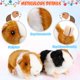 thumbnail image 3 of Juego de 2 juguetes de peluche con forma de conejillo de indias Aoriher de 20 cm, 3 of 8