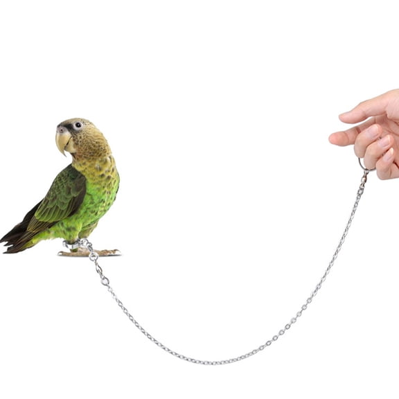 HOOWIFFY Adjustable Parrot Ankle Ring Stainless Steel Safety for Birds