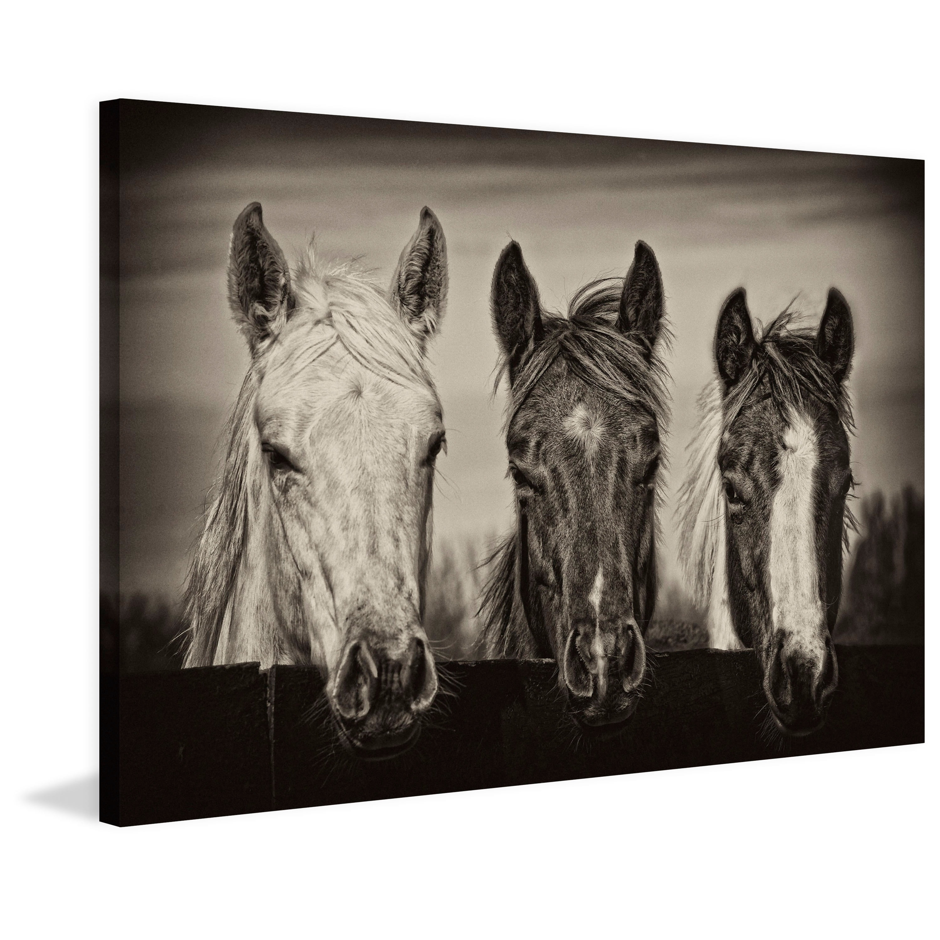 Marmont Hill "Three Amigos I" Painting Print on Wrapped Canvas