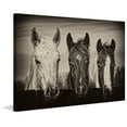 thumbnail image 3 of Marmont Hill "Three Amigos I" Painting Print on Wrapped Canvas, 3 of 5