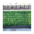 thumbnail image 6 of Artificial Plant Fence Green Leaf Fence Panels Privacy Fence Screen Garden Yard Decoration Outdoor Wall Decor, 6 of 7
