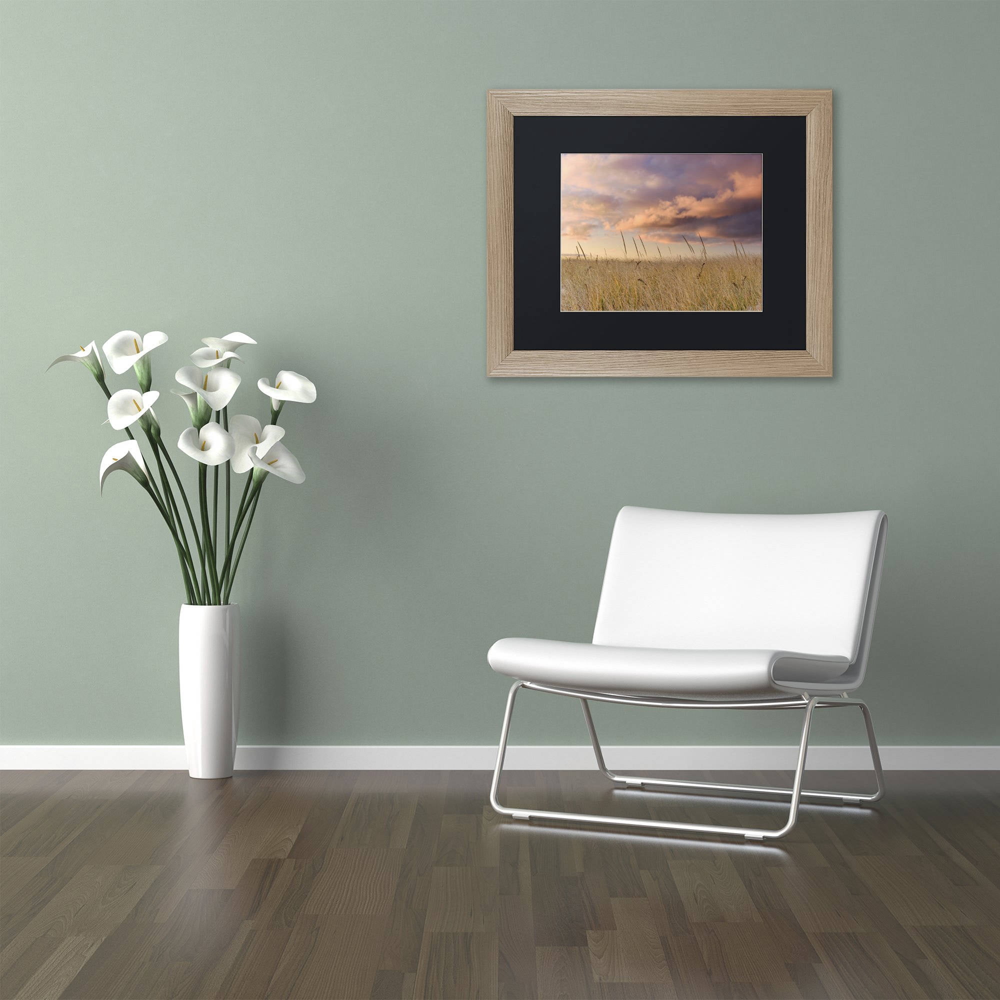 Trademark Fine Art "Beachgrass Sunrise" Canvas Art by Michael Blanchette Photography Black Matte, Birch Frame