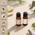 thumbnail image 6 of Aromatherapy Essential Oils Gift Set – 6 x 10ml Scents for Diffusers, Home Fragrance, Relaxation & DIY – Lavender, Peppermint, Orange, Vanilla, Eucalyptus, Lemongrass, 6 of 7
