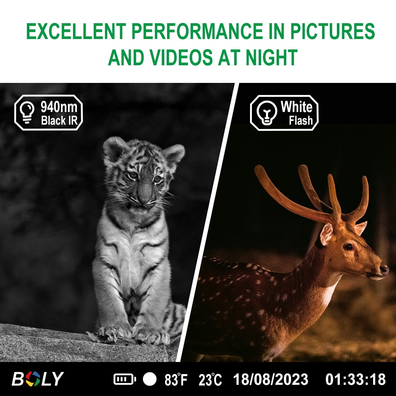 BG662-D Boly 56MP DUAL FLASH 4K Trail Camera Color or Black & White photos & video at Day and Night