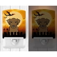 thumbnail image 2 of Caroline's Treasures BB1792CNL Halloween Chocolate Labrador Ceramic Night Light, 6x4x3", multicolor, 2 of 2