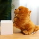 thumbnail image 4 of Muñeco de peluche Chow Chow suave y exquisito perro de peluche divertido de 10 pulgadas para niños para el dormitorio del hogar ANGGREK Otros, 4 of 8