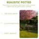 thumbnail image 3 of unbranded 4Ud Bonsai Artificial Verde Para De Escritorio En Hogar Oficina Y Café, 3 of 6