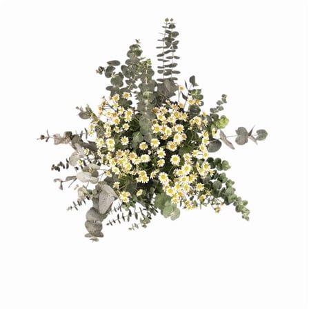 KaBloom -20 Stem Relax Daisy Bouquet Double-Without Vase-Gift for Every Occasion.