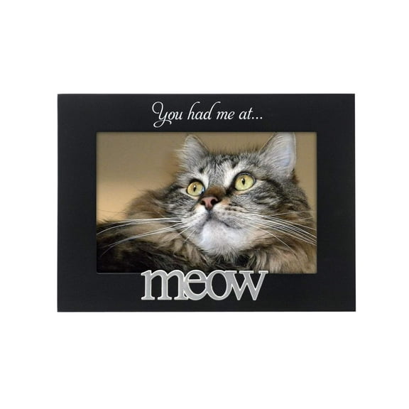 You Had Me At Meow Black Wood Frame by Malden - 4964-46
