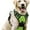 F, variant on Pet Vest PawSafety No Pull Harness for Dogs and Cats - Durable Design for Indoor and Outdoor Use