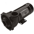 thumbnail image 1 of 48-Frame Spa Pump, 1 of 1