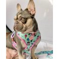thumbnail image 2 of Frenchiestore Reversible Dog Health Harness | UniPup, 2 of 13