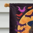 thumbnail image 2 of Boykin Spaniel Witchy Halloween House Flag 28 in x 40 in, 2 of 7