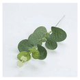 thumbnail image 4 of "50pc Hojas Artificial De Eucalipto Plantas Artificial Ramas Lab.G Color Blanco/verde ", 4 of 5