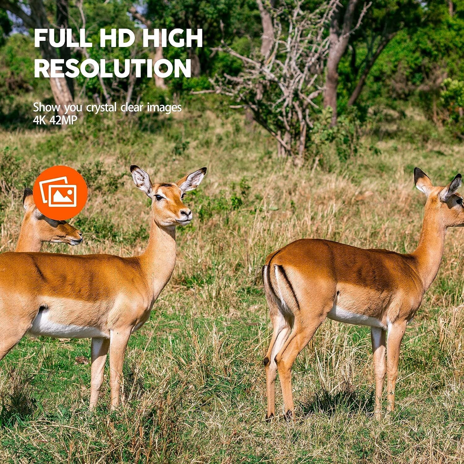 CAMPARK WiFi Trail Game Camera 4K 24MP Bluetooth Hunting Deer Camera with 3 PIR Sensor Infrared Night Vision Waterproof IP66 0.2s Trigger 2.4" LCD Trail Cam for Wildlife Monitoring