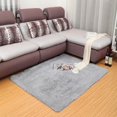 thumbnail image 2 of Polyester Plush Rug Soft Shaggy Carpet Home Floor Area Mat Decoration 60X40cm US, 2 of 5