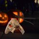 thumbnail image 3 of 1/2 Half Face Unisex Masquerade Masks Adult Kids Vintag Recreación Teatro Carnavales Fiesta Disfraz Escenario Club Disfraz Hogar Feliz Navidad - Bronce Sunnimix Escudo de media cara, 3 of 8