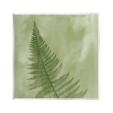 Modern Fern Nature Plant Botanical & Floral Graphic Art Unframed Art Print Wall Art