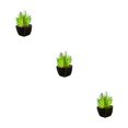 thumbnail image 3 of Kearding plantas en macetas de cerámica negra suculentas verdes artificiales decoración para el hogar falsa tipo 1 NO1, 3 of 6