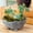 A, variant on Static Grass Tuft, Fake Green Moss for Potted Plants, Artificial Green Moss for Plant Crafts Flower,Fairy Garden Decor — LAILLSH