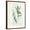 Brown Frame, variant on Art.com Bay Leaf and Juniper Art Print by Elissa Della-piana, Brown Frame Wall Art, 17" x 21"