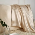 thumbnail image 5 of DISANGNI 100% Mulberry Silk Silk Pillowcase, Used for Hair and Skin, Envelope Type, Silk on one Side and Tencel on The Other Side, 1pc (Gold, 1 pc Standard Size 20"x26"), 5 of 7