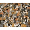 thumbnail image 3 of Ditz (Other), 3 of 4