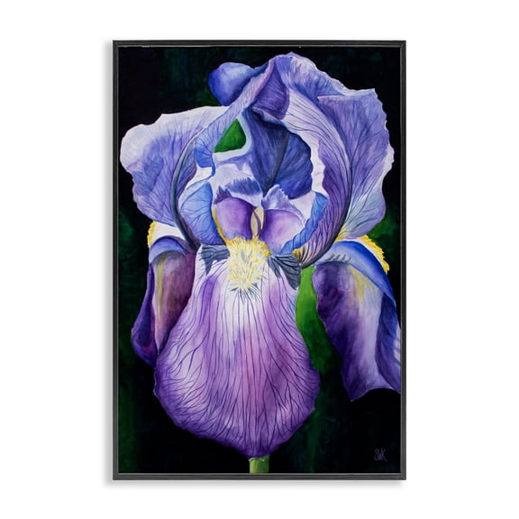 Stupell Industries Purple Iris Petals Floral Painting Black Framed Art Print Wall Art, 12 x 18