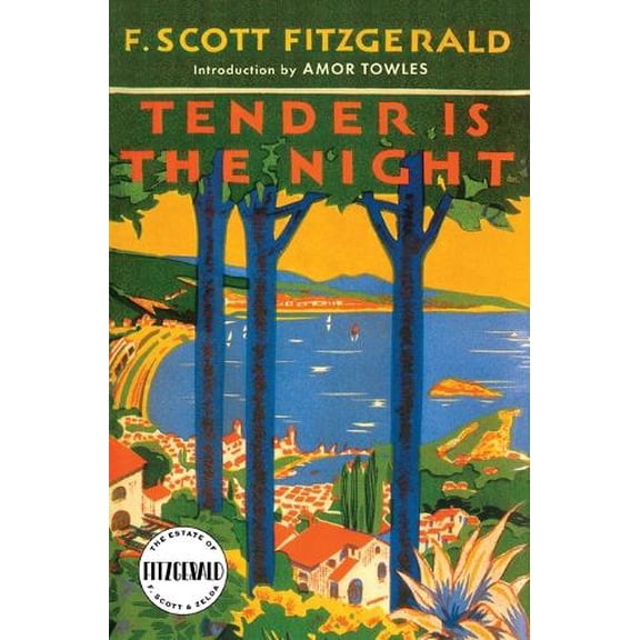 Pre-Owned Tender is the Night (Paperback) 068480154X 9780684801544