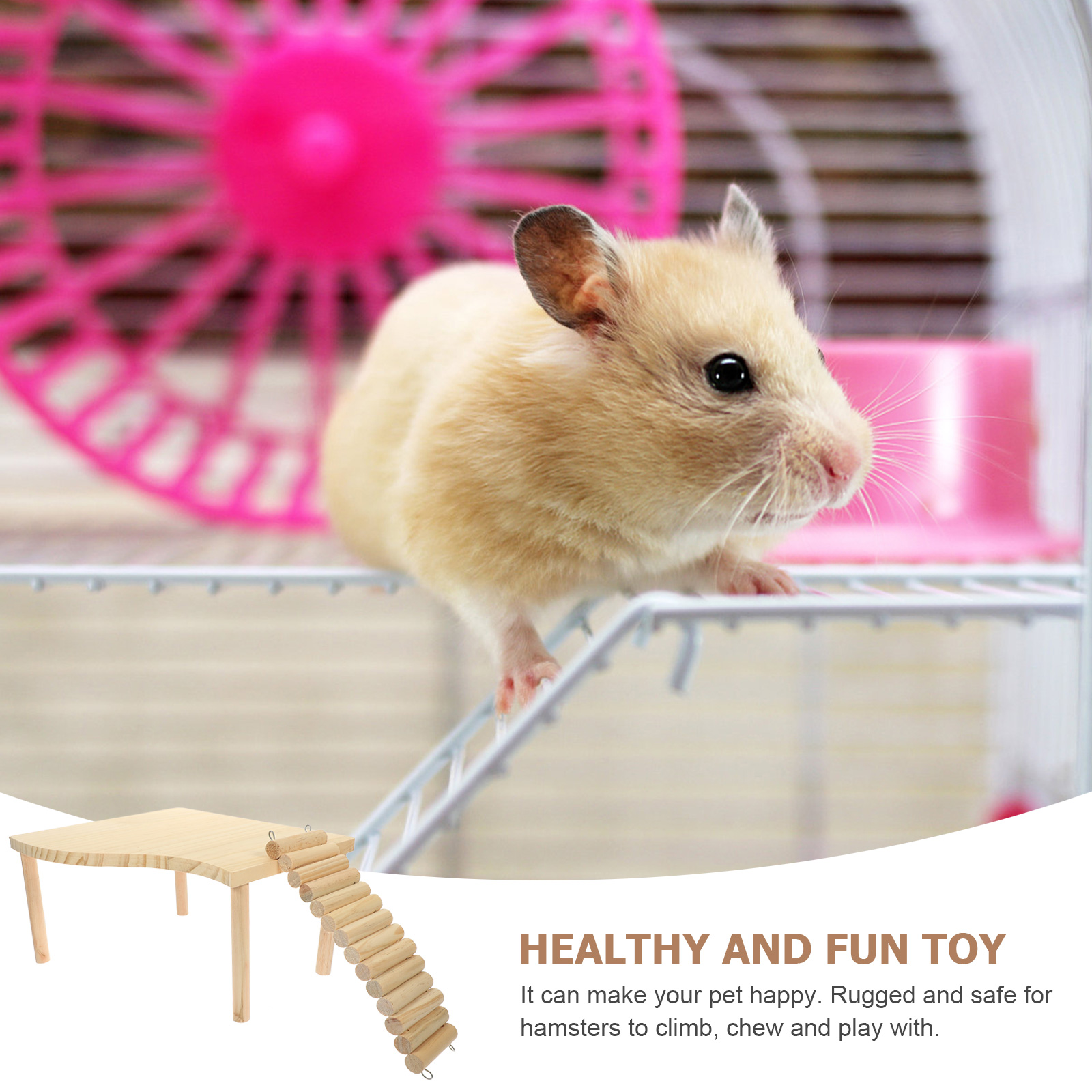 PBPBOX Hamster Supplies Set with Ladder for Indoor Activities 1 Set