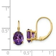 thumbnail image 3 of Primal Gold 14 Karat Yellow Gold 8x6mm Oval Amethyst Leverback Earrings, 3 of 5