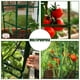 Cribun 24pcs Pieu pour Cage de Tomate, Cage de Plante de Tomate, Cages de Jardin de Tomate Pique Treillis Végétal, pour les Plantes Grimpantes Verticales – image 3 sur 8