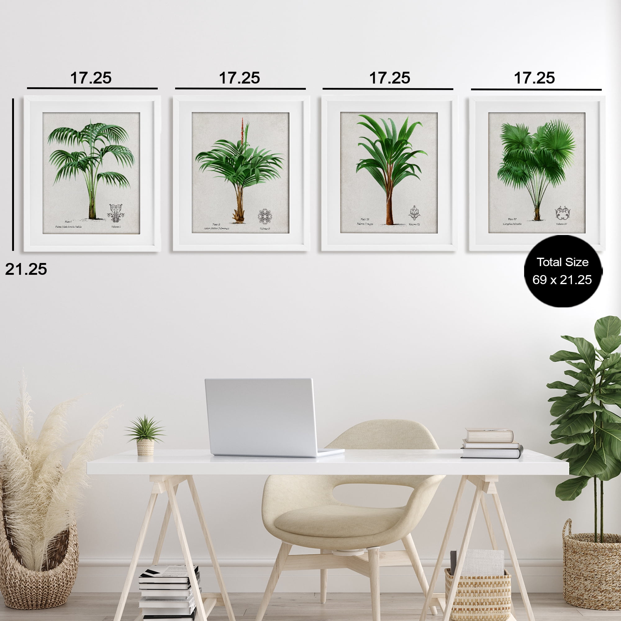 Stupell Industries Palm Varieties Studies 4 Piece White Framed Print Under Glass Set, design by Natalie Carpentieri