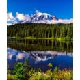 thumbnail image 2 of Leahy, Ike 26x30 White Modern Wood Framed Museum Art Print Titled - Mt. Rainer II, 2 of 4