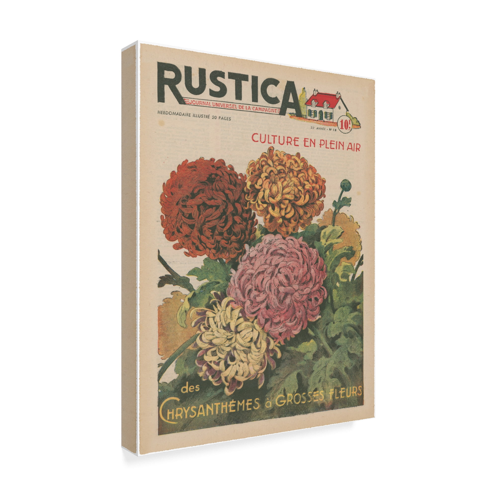Trademark Fine Art 'Plantez des Chrysanthemums' Canvas Art by Unknown