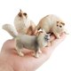 thumbnail image 4 of Figura de acción de gato siamés Devon Rex Sphynx Ragdoll persa de Oenux, figura de gato bobtail, linda decoración, juguete de regalo para niños, 4 of 5