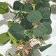 thumbnail image 5 of Enredaderas de flores falsas de rosas simuladas Fiudx para decoración de puertas y escaleras 72,83 pulgadas, 5 of 6