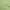 LightGreen, variant on oneOonePolyesterSpandexWhiteFabricKidsFloralQuiltingSuppliesPrintSewingFabricByTheYard56InchWide