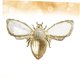 thumbnail image 4 of unbranded Anillo Ajustable Para Mujer En Color Dorado Abeja Para Y Regalo, 4 of 8