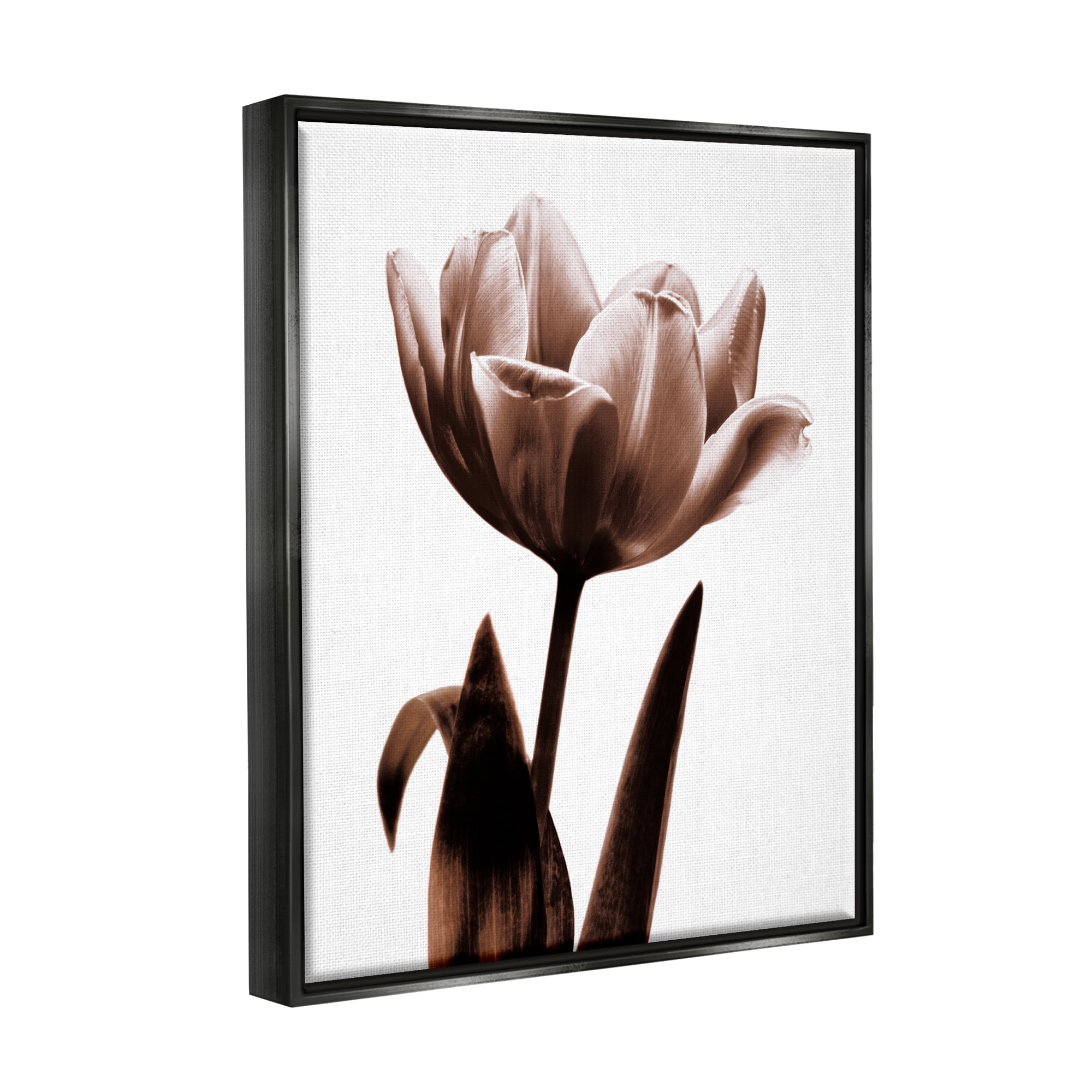 Stupell Industries Modern Tulip on White Botanical & Floral Photography Black Floater Framed Art Print Wall Art, 17 x 21