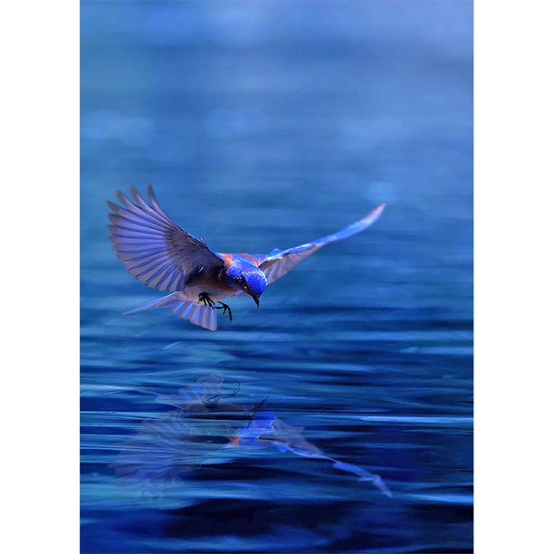 Pintura de diamante (DE5425) Pájaro volador 5D DIY Mosaico cuadrado de diamantes de imitación (XLX144) 45x60cm FLhrweasw Nuevo