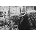 thumbnail image 2 of Diener, Dakota 18x13 White Modern Wood Framed Museum Art Print Titled - Highland and Fence, 2 of 4