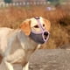 thumbnail image 3 of Mascarilla para perros Zulema Bozal de perros Azul S, 3 of 8
