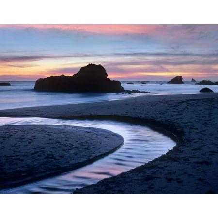 Creek flowing into ocean at Harris Beach State Park Oregon Poster Print by Tim
