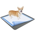 thumbnail image 1 of Bandeja Skywin para orinar para perros, 95 x 95 cm, bordes elevados, 1 of 7
